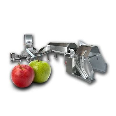 Tehnologia de presare a sucului de fructe cu semințe