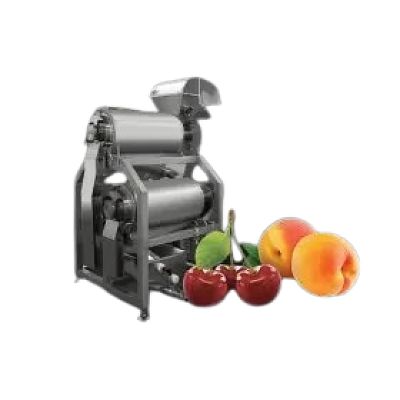 Tehnologia de presare a sucului de fructe cu sâmburi