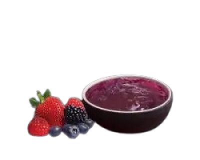 Tehnologia de procesare a piureului de fructe de pădure