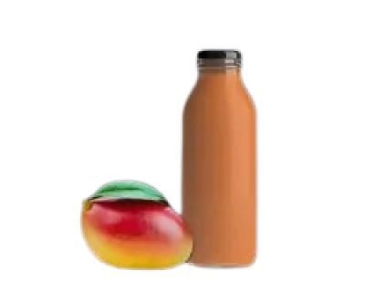 Tehnologia de procesare a piureului de mango